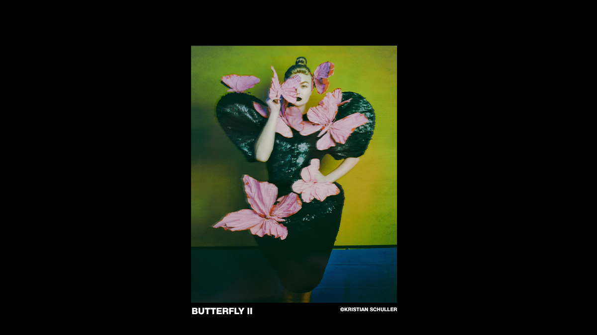 04_Butterfly-II-(c)-Kristian-Schuller